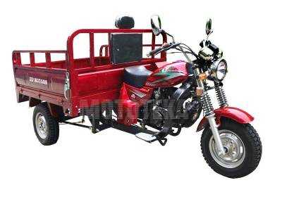 Трицикл грузовой Zip Motors (Зип Моторс) Triton 200 с ПСМ