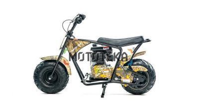 Мотоцикл внедорожный MotoLand (Мотолэнд) RT 100 (мотовездеход)