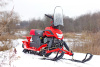 Снегоход IRBIS (Ирбис) Dingo T200 (Ирбис Динго Т200) чёрный/красный с ПСМ - купить с доставкой, по выгодной цене в интернет-магазине Мототека